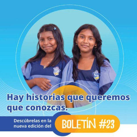 boletin #23