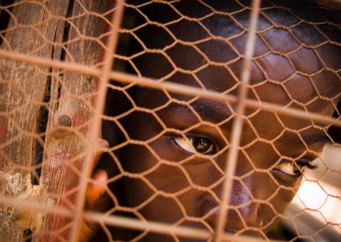 niño mirando através de una reja