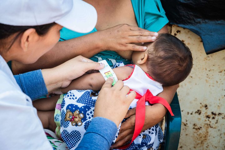 perimetro branquial Zaily