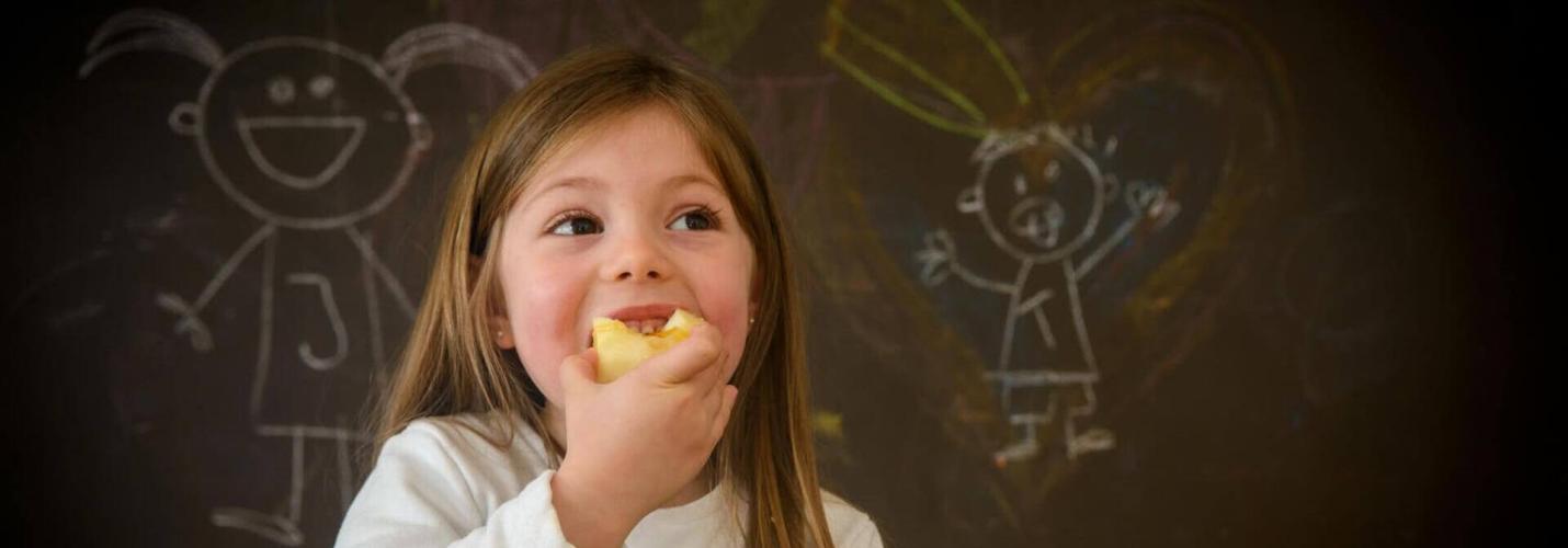 ¡Atención, mamás y papás! A preparar saludablemente la lonchera