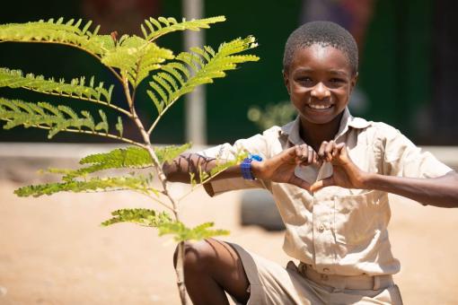 Día mundial del medio ambiente