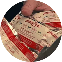 foto de alimento terapeutico